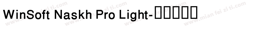 WinSoft Naskh Pro Light字体转换